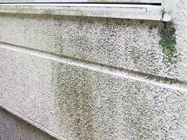 外壁のカビ